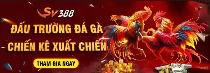 Đá Gà Trực Tuyến,SV388